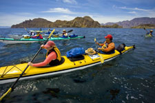 Mexico-Baja-Baja Sea Kayaking Expeditions